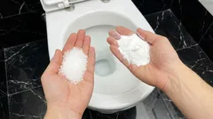 Sal e bicarbonato de sódio na sanita: porque é que os canalizadores o recomendam e para que serve