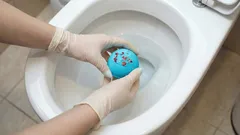 Como limpar a sanita sem lhe tocar: este produto caseiro vai facilitar a limpeza