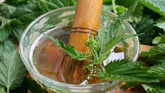 Como transformar uma urtiga comum num fertilizante útil: receita de uma infusão nutritiva