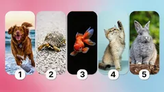 O que a escolha do animal de estimação diz sobre a sua personalidade: um teste que a revela