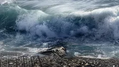 Asteroide provocou um megatsunami ao largo da Europa: onde e quando aconteceu?