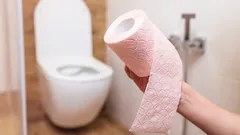 Adeus ao papel higiénico: a nova alternativa já está a ganhar popularidade em todo o mundo