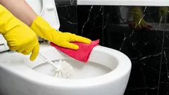 Os profissionais da limpeza não te dizem isto: o método mais simples para o WC brilhar de limpeza